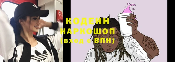 СК Осинники