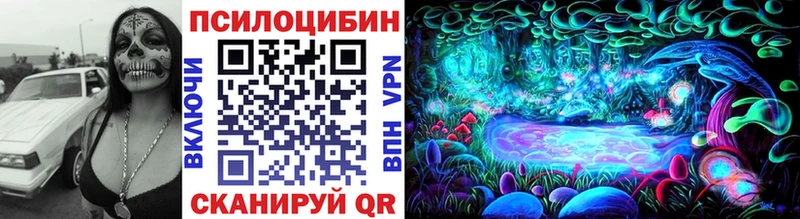Псилоцибиновые грибы Cubensis  цены наркотик  MEGA как войти  Североморск 