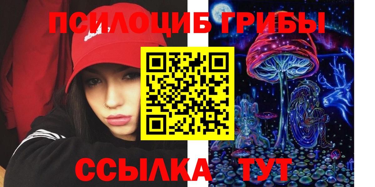 Североморск  Псилоцибиновые грибы Psilocybine cubensis  Вход с VPN 